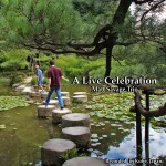 A Live Celebration cover art